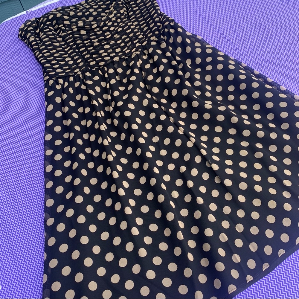 Sara Campbell Polka Dot Strapless Dress